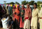 छत्तीसगढ़ में साड़ी खरीदने के बहाने दुकान और गोदाम से 36 हजार की साड़ियां चोरी, राजस्थान की 10 महिलाओं समेत 12 आरोपी गिरफ्तार