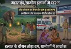 हाथी ने महिला पर किया जानलेवा हमला, इलाज के दौरान तोड़ा दम, इलाके में दहशत का माहौल, ग्रामीणों में आक्रोश, वन विभाग ने जारी किया एलर्ट