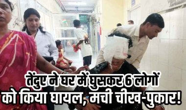 आधी रात घर में घुसकर तेंदुए ने 6 लोगों पर किया हमला, परिवार ने कमरे में किया बंद, 3 गंभीर घायल रायपुर रेफर, अस्पताल में वैक्सीन नहीं होने पर उठे सवाल