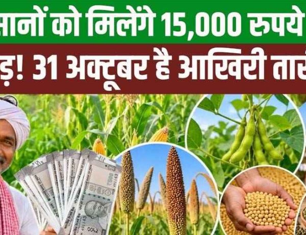 छत्तीसगढ़ के किसानों को धान के स्थान पर अन्य खरीफ फसल लगाने पर मिलेगा 15 हजार रुपये प्रति एकड़!, 31 अक्टूबर तक होगा पंजीयन